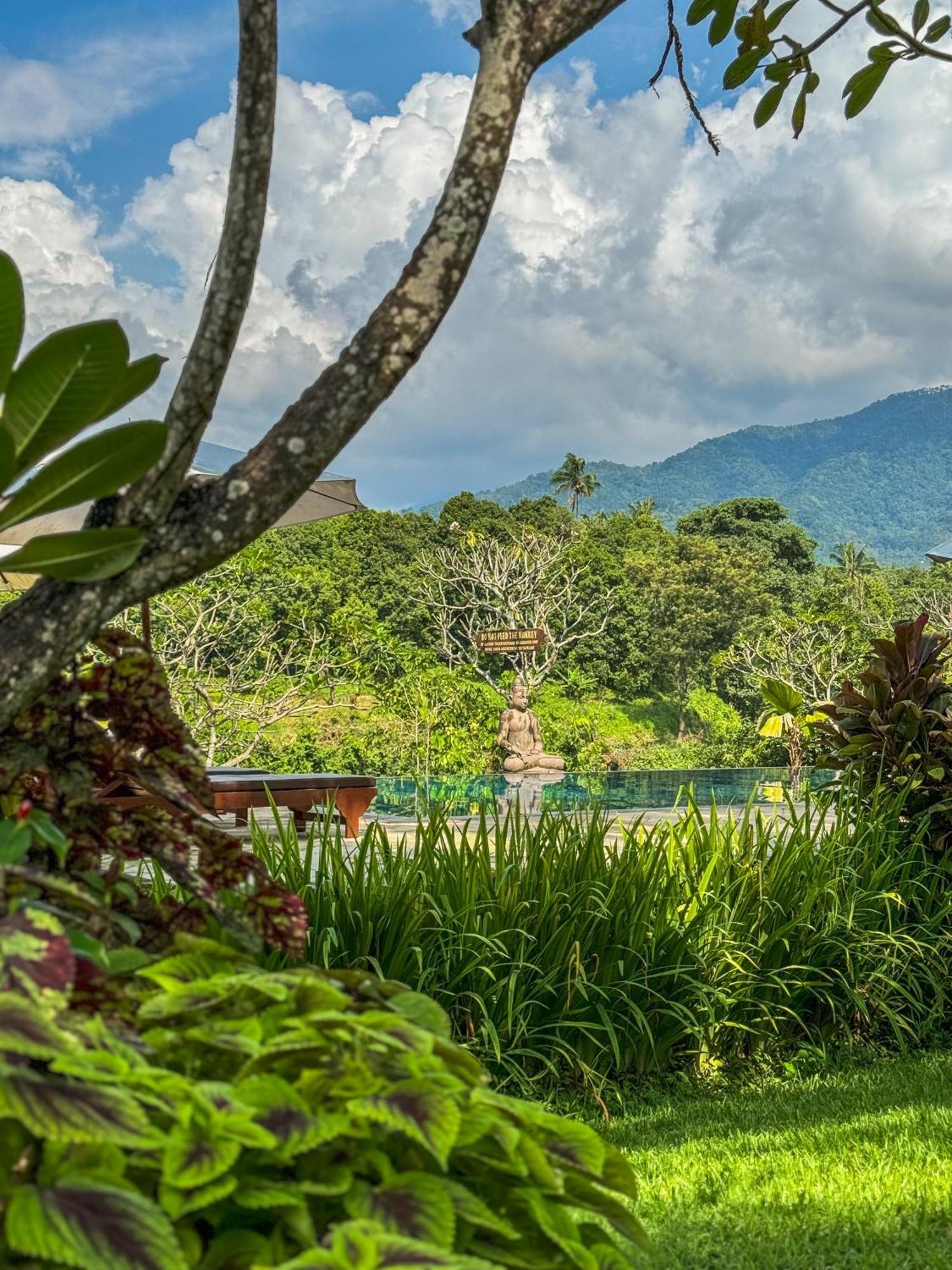 Shanti Natural Panorama View Hotel Singaraja Exterior foto